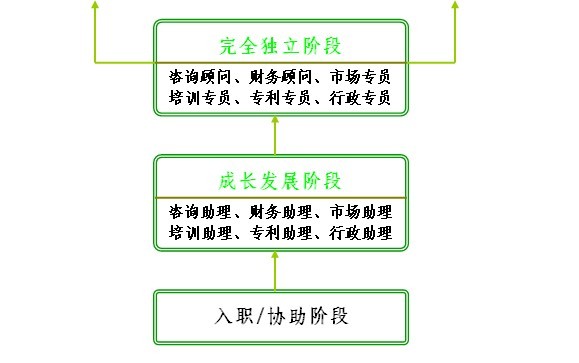 番茄影视智职业发展体系1.jpg