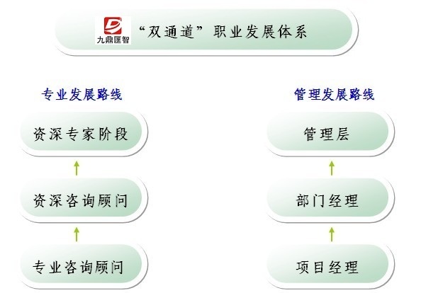 番茄影(yǐng)视智职业发展体(tǐ)系(xì)2.jpg